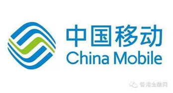 中國(guó)移動(dòng)318億重組鐵通，技術(shù)咨詢崗員工待遇成焦點(diǎn)