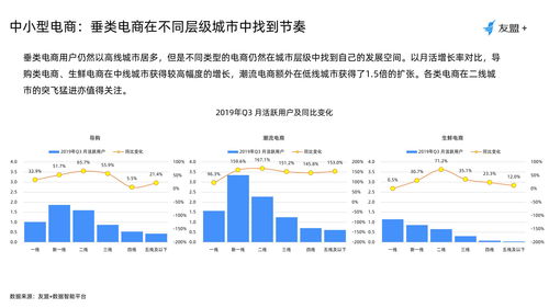 友盟2019上半年暨Q3移動互聯(lián)網(wǎng)發(fā)展報(bào)告 移動互聯(lián)網(wǎng)業(yè)務(wù)支撐軟件的研發(fā)趨勢與機(jī)遇